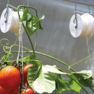 Palram Canopia Trellising Kit