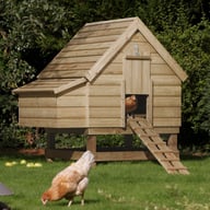 Chicken Coop Large