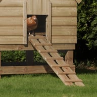 Chicken Coop Large - view 11