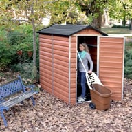 Palram 4 x 6 Plastic Skylight Shed Store