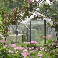 ACD Sloped Wall Greenhouse 10x10