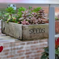 Access 2x3 Mobile Mini Growhouse
