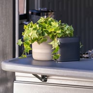 Suncast 8x7 Cabana Entertainment Shed