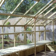 Swallow wooden greenhouse Falcon Staging timber