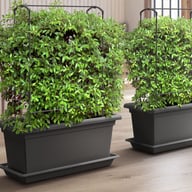 Magnus Self Watering Living Wall Kits
