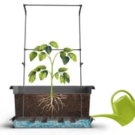 Magnus Self Watering Planter Kits