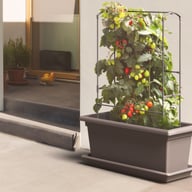 Magnus Self Watering Tomato Grow Kits Stone Grey