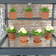 2x3 Access City Growhouse Mini Greenhouse Shelving