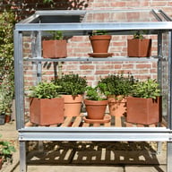 Access 2x3 Herb House Mini Greenhouse