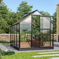 Vitavia 6x4 Black Venus 2500 Greenhouse