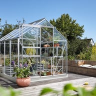 8x6 Vitavia Venus Toughened Glass Greenhouse in Aluminium