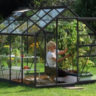 Vitavia 8x6 Venus 5000 Greenhouse in Black