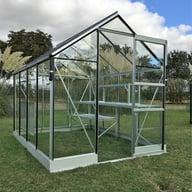 Vitavia Apollo 6x8 Greenhouse with Freestanding Staging