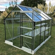 Vitavia Apollo 6x8 Greenhouse with Toughened Glass