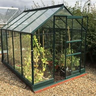 Vitavia Apollo Green 8x6 Greenhouse Toughened Glass