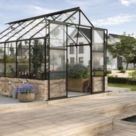 Vitavia Cassandra  8x10  Black Dwarf Wall Greenhouse