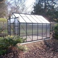 Vitavia 8x12 Black Phoenix 9900 Greenhouse
