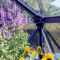 Vitavia Phoenix Black 8x10 Greenhouse Bracing