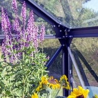 Vitavia Phoenix Black 8x10 Greenhouse Bracing