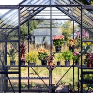 Vitavia Phoenix Black 8x10 Greenhouse Door