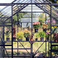 Vitavia Phoenix Black 8x10 Greenhouse Door