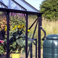 Vitavia Phoenix Black 8x10 Greenhouse Waterbutt
