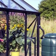 Vitavia Phoenix Black 8x10 Greenhouse Waterbutt
