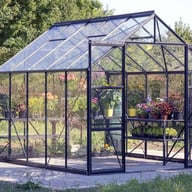 Vitavia Phoenix Black 8x10 Greenhouse