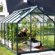 Vitavia Venus Green 6x10 Greenhouse - 3mm Horticultural Glazing