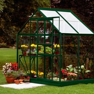 Vitavia Venus 6x4 Green Glass