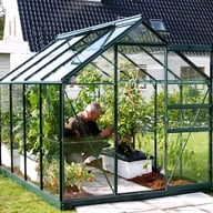 Vitavia Venus Green 8x6 Greenhouse