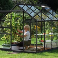 Vitavia Venus Black 8x6 Greenhouse Toughened Glazing