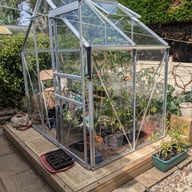 Vitavia Venus greenhouse installed on a timber plinth base instead of a steel base