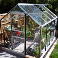 Vitavia Venus with Bar Capping