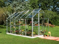 6x10 Halls Popular Greenhouse - Horticultural Glass