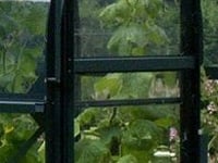 Vitavia Powder Coated Green Frame