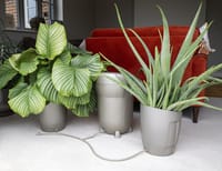 AutoPot Khloris Watering System - Metallic Sage