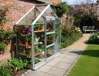 Elite High Eave 6x2 Apex Lean To Greenhouse - Horticultural Glazing