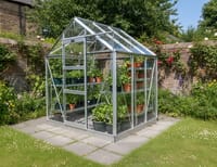 Elite High Eave 6x6 Greenhouse Package - Toughened Glazing