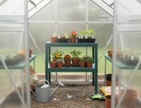 Palram Canopia 2 Tier Staging