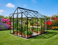 Vitavia 8x10 Black Phoenix 8300 Greenhouse Short Pane - Toughened Glass