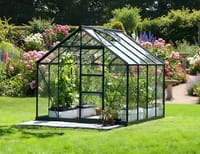 Vitavia 8x8 Black Neptune 6700 Greenhouse - Horticultural Glass