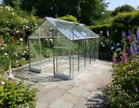 Vitavia 6x10 Apollo 6200 Greenhouse - Horticultural Glass