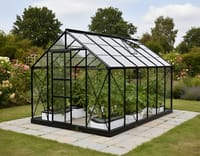 Vitavia 8x10 Black Neptune 8300 Greenhouse - Horticultural Glass