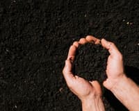 Soil Preparation