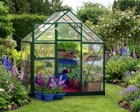 Palram Canopia Harmony 6x4 Green Greenhouse - Clear Polycarbonate
