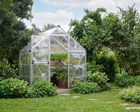 Palram Canopia Harmony 6x6 Silver Greenhouse - Clear Polycarbonate