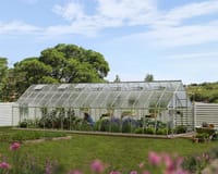 Palram Canopia Balance 10x32 Silver Polycarbonate Greenhouse