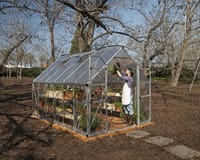 Palram Canopia Balance 8x12 Silver Polycarbonate Greenhouse
