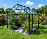 Vitavia 8x10 Green Phoenix 8300 Greenhouse Short Pane - Toughened Glass